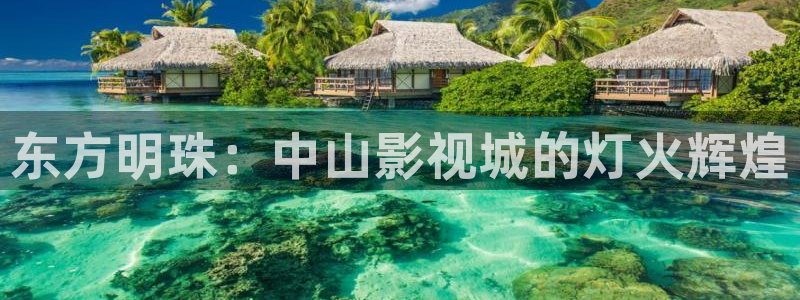 年轻的护士2酷客影院：东方明珠：中山影视城的灯火辉煌