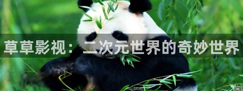 酷客影院电视剧免费：草草影视：二次元世界的奇妙世界