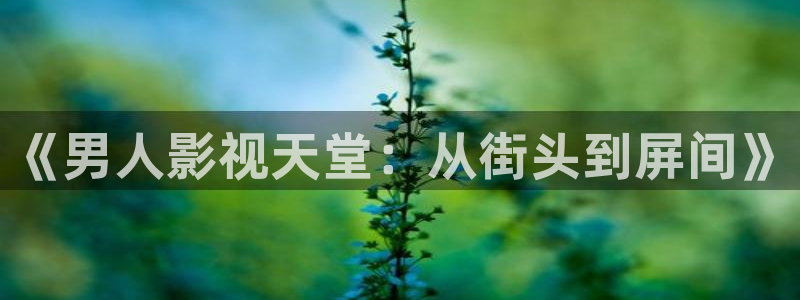 酷客影院旧版入口：《男人影视天堂：从街头到屏间》