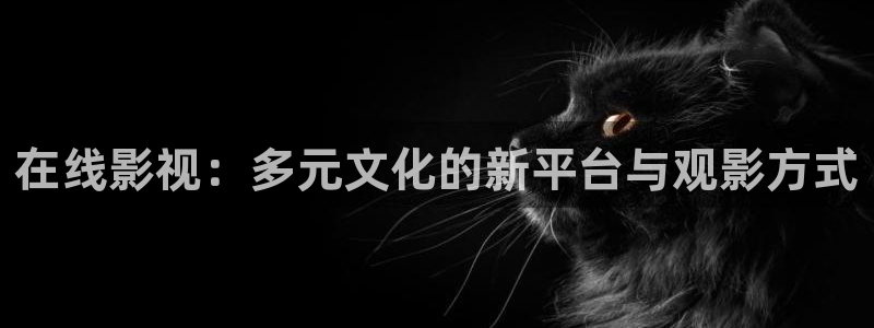 酷客影视app：在线影视：多元文化的新平台与观影方式