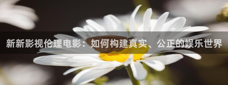 酷客影视在线观看免费高清电视剧：新新影视伦理电影：如何构建真实、公正的娱乐世界