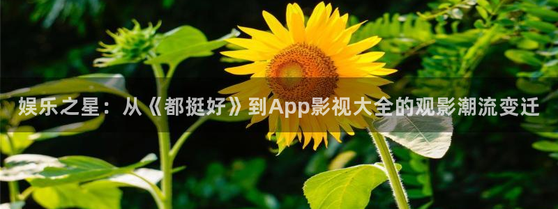 酷客影院手机免费：娱乐之星：从《都挺好》到App影视大全的观影潮流变迁