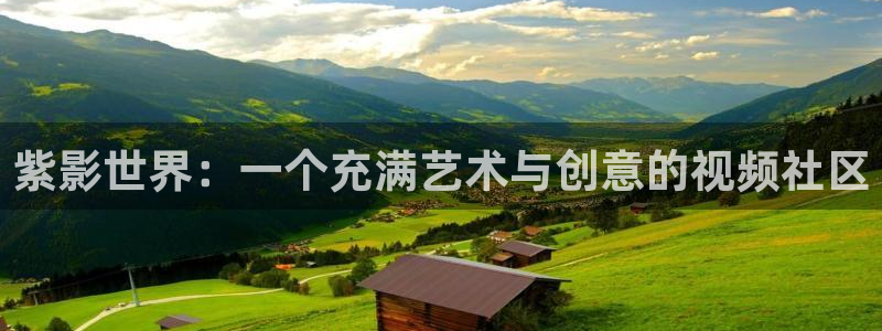 酷客影院免费看：紫影世界：一个充满艺术与创意的视频社区